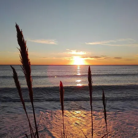 Directo Al Mar *