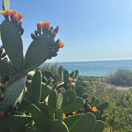 Directo Al Mar Benicarlo