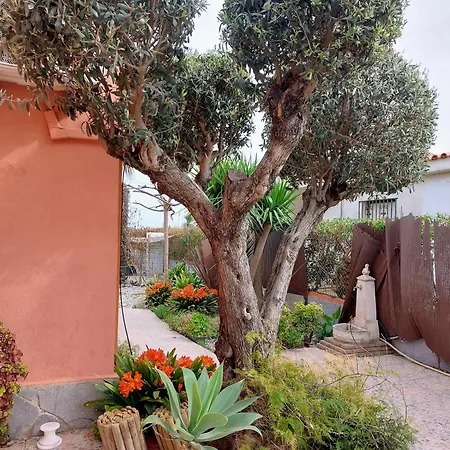 Directo Al Mar Tatil Evi