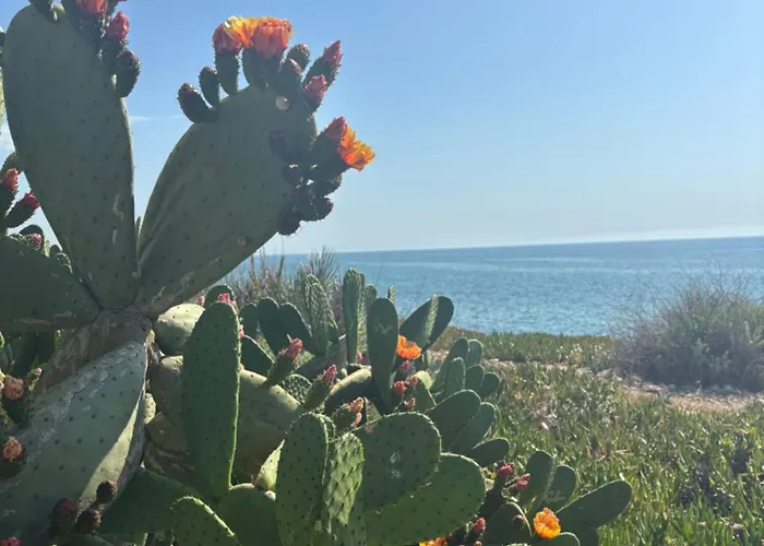 Directo Al Mar Benicarló